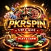 PKRSPIN VIP Game